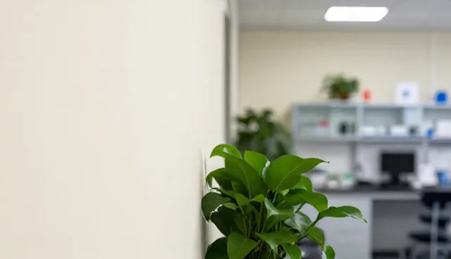 技术研发中常见问题的适用条件与选择依据